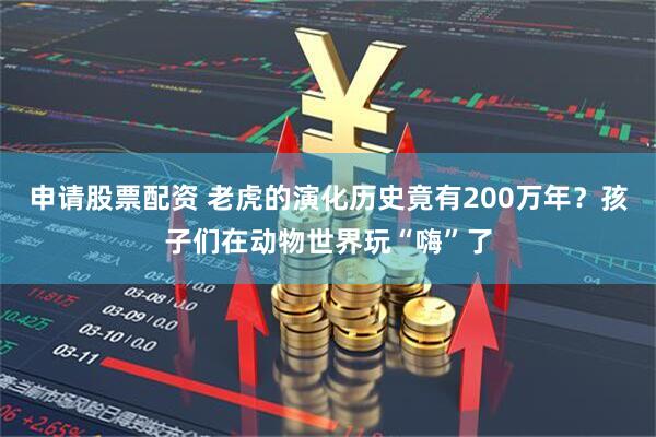 申请股票配资 老虎的演化历史竟有200万年？孩子们在动物世界玩“嗨”了