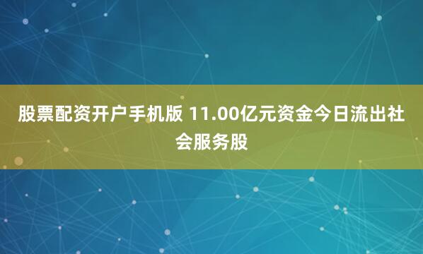 股票配资开户手机版 11.00亿元资金今日流出社会服务股
