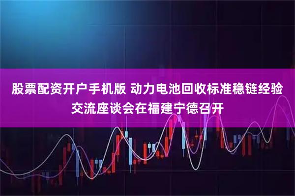 股票配资开户手机版 动力电池回收标准稳链经验交流座谈会在福建宁德召开