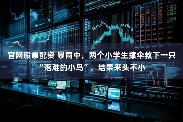 官网股票配资 暴雨中，两个小学生撑伞救下一只“落难的小鸟”，结果来头不小
