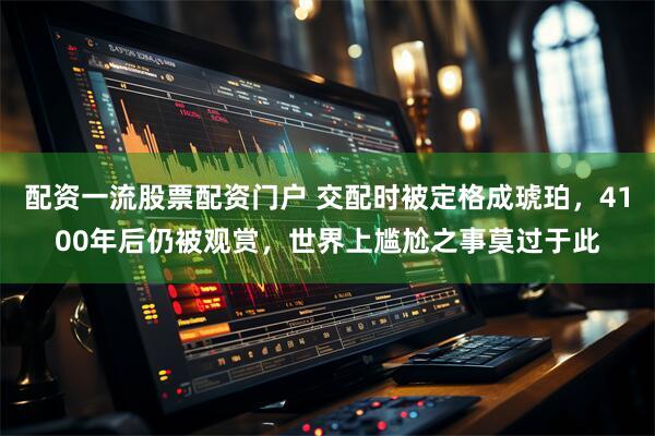 配资一流股票配资门户 交配时被定格成琥珀，4100年后仍被观赏，世界上尴尬之事莫过于此