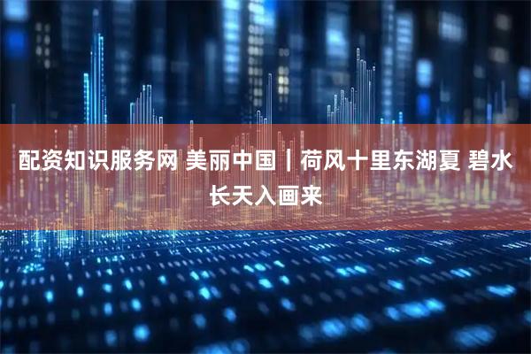 配资知识服务网 美丽中国|荷风十里东湖夏 碧水长天入画来